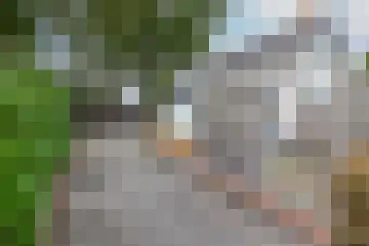 Allersmaweg 6 Ezinge thumbnail 29