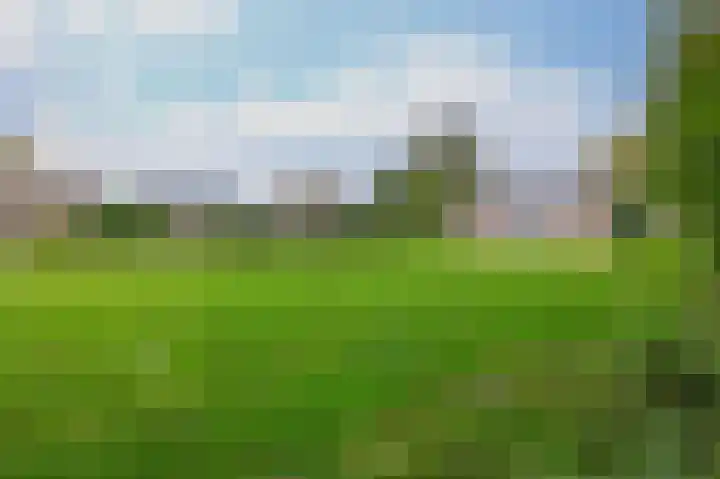 Allersmaweg 6 Ezinge thumbnail 34