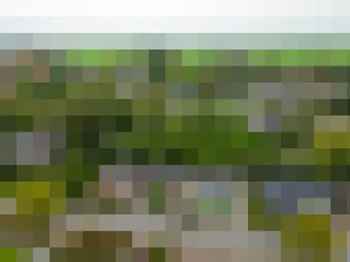 Allersmaweg 6 Ezinge thumbnail 36