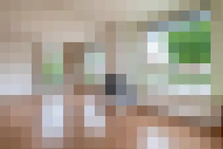 Allersmaweg 6 Ezinge thumbnail 5