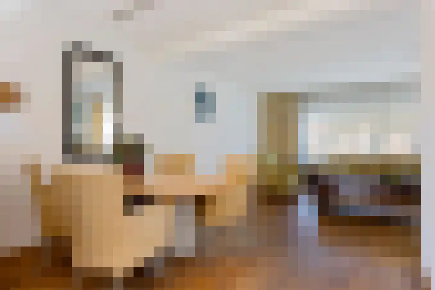 Allert Meijerlaan 18 Uithuizen thumbnail 12