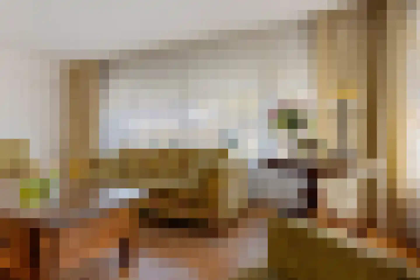 Allert Meijerlaan 18 Uithuizen thumbnail 16