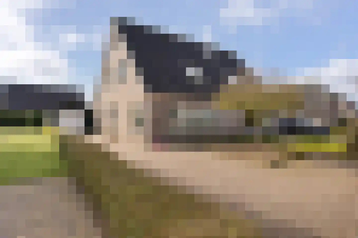 Allert Meijerlaan 18 Uithuizen thumbnail 5