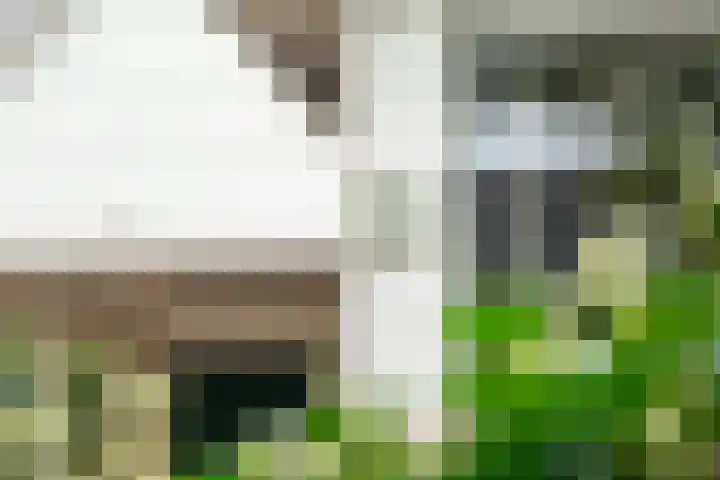 Alligatorstraat 11 Almere thumbnail 11