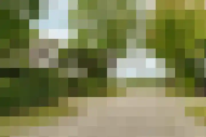 Alligatorstraat 11 Almere thumbnail 7