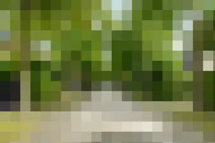 Alligatorstraat 11 Almere thumbnail 8