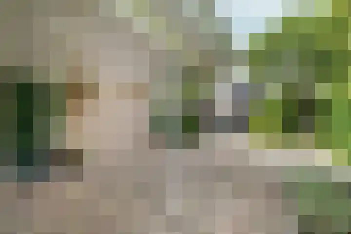 Alligatorstraat 11 Almere thumbnail 9