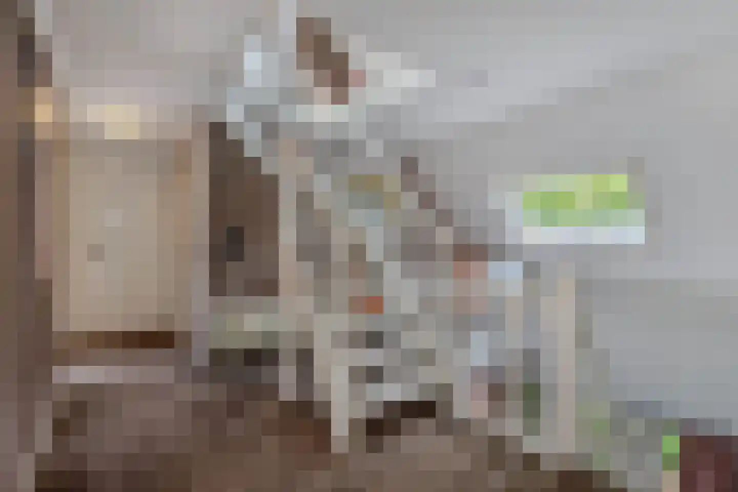 Alligatorstraat 12 Almere thumbnail 18