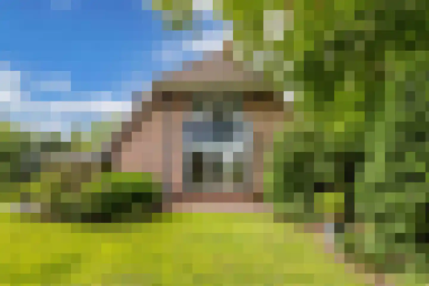 Alligatorstraat 12 Almere thumbnail 41
