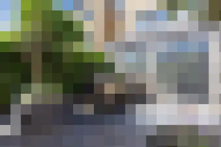 Alligatorstraat 21 Purmerend thumbnail 34