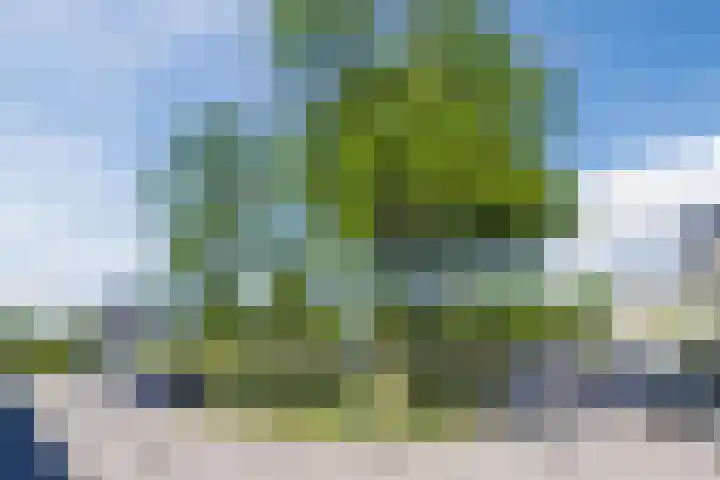 Alligatorstraat 21 Purmerend thumbnail 37