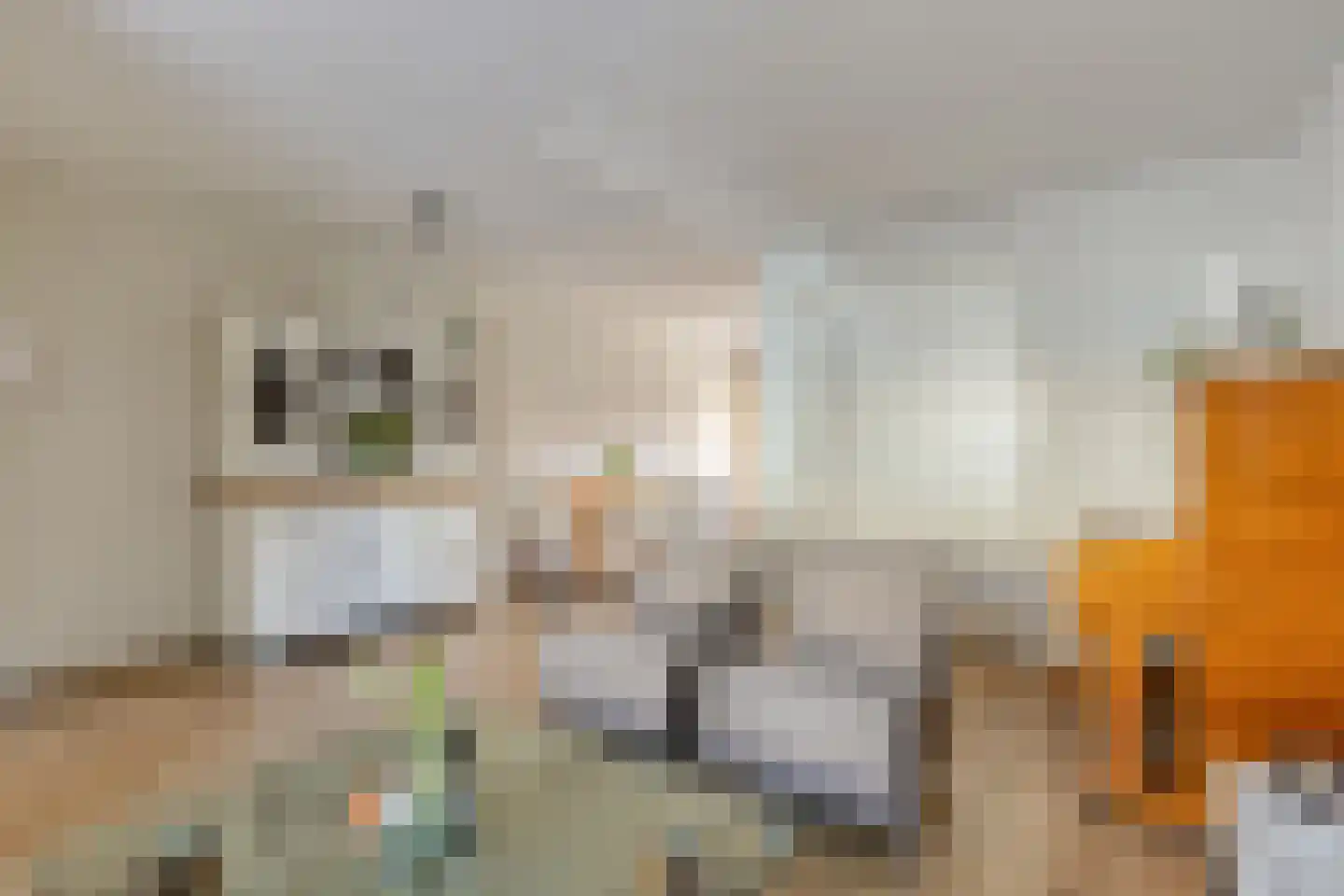 Alligatorstraat 35 Purmerend thumbnail 5
