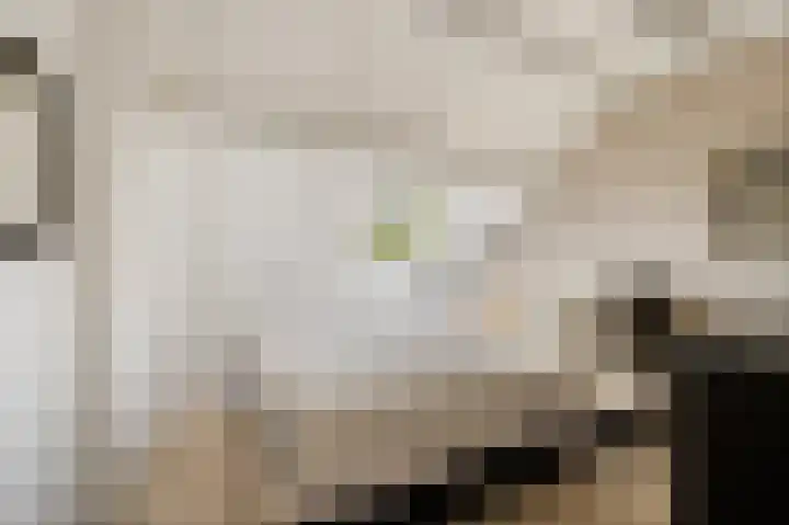 Allingawier 38 Grou thumbnail 30