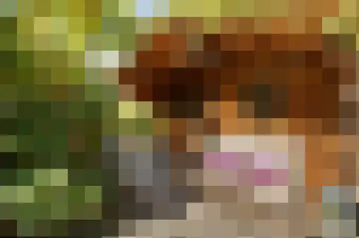 Allingawier 38 Grou thumbnail 39