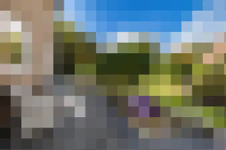 Allingawier 38 Grou thumbnail 40