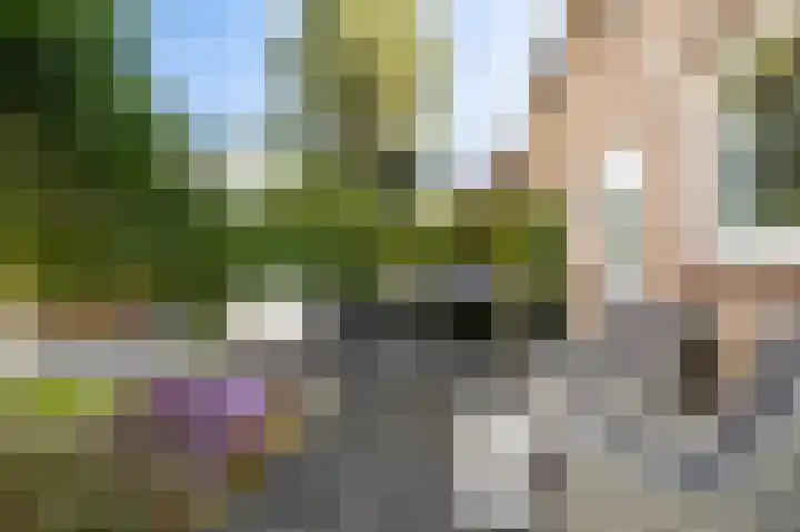 Allingawier 38 Grou thumbnail 41