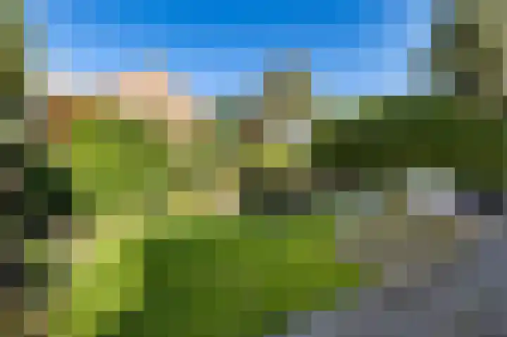 Allingawier 38 Grou thumbnail 42