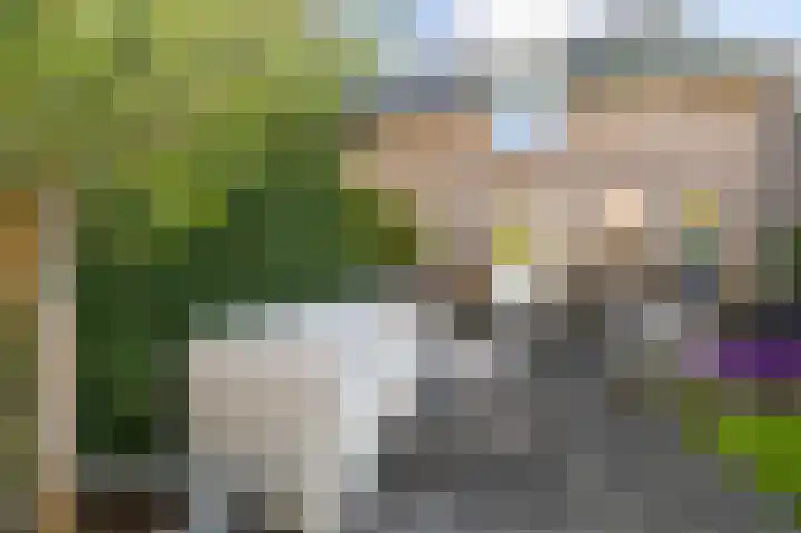 Allingawier 38 Grou thumbnail 44