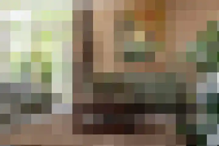 Allingawier 38 Grou thumbnail 45