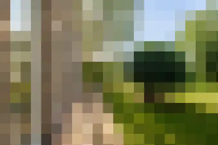 Allingawier 38 Grou thumbnail 45
