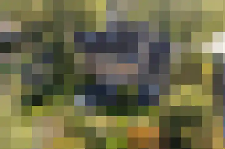 Allingawier 38 Grou thumbnail 46