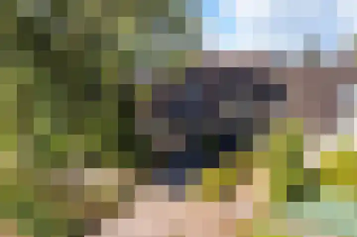 Allingawier 38 Grou thumbnail 7