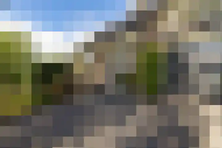 Allingawier 38 Grou thumbnail 8