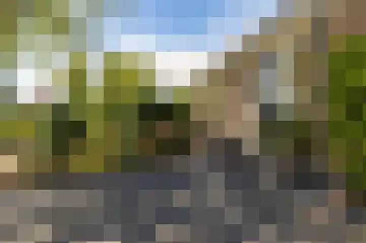 Allingawier 38 Grou thumbnail 9