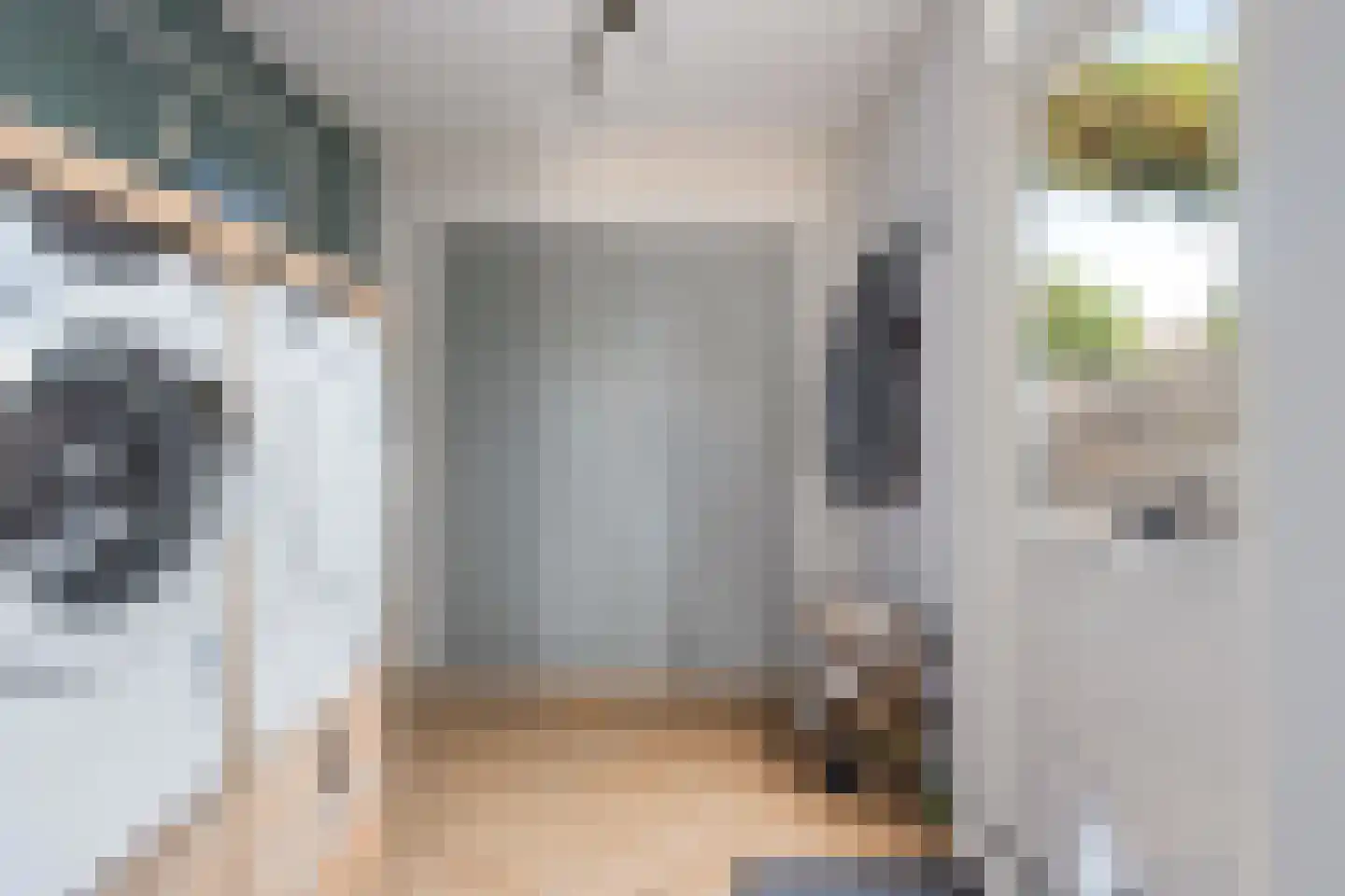 Allingawier 6 Grou thumbnail 15