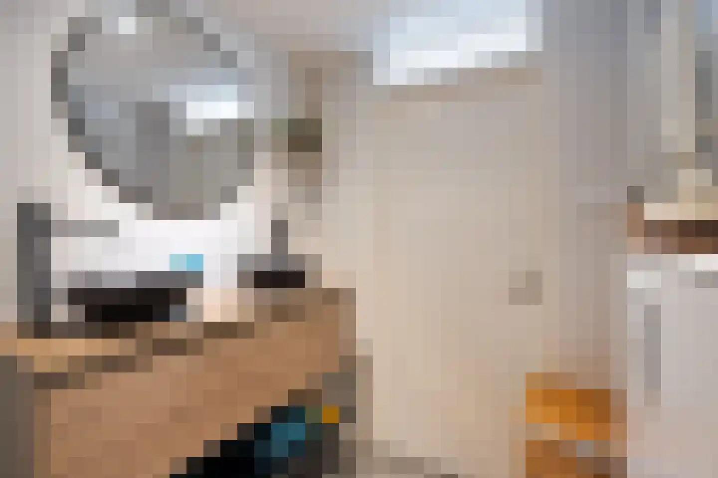 Allingawier 6 Grou thumbnail 21