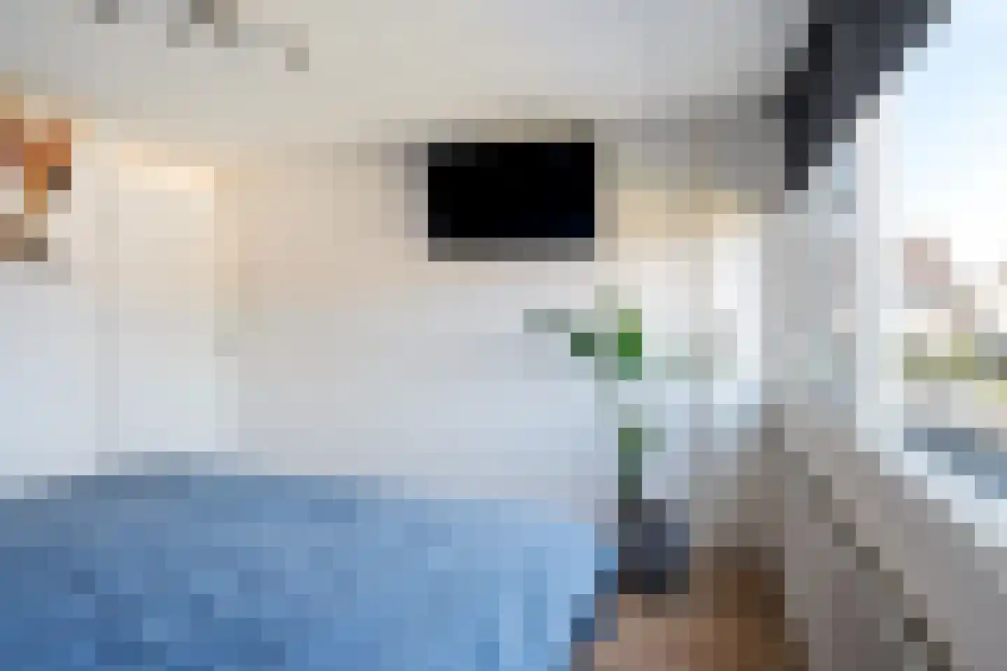 Allingawier 6 Grou thumbnail 24