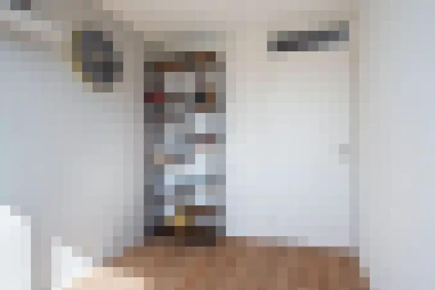 Allingawier 6 Grou thumbnail 28