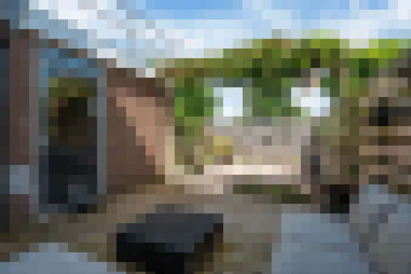 Allingawier 6 Grou thumbnail 40
