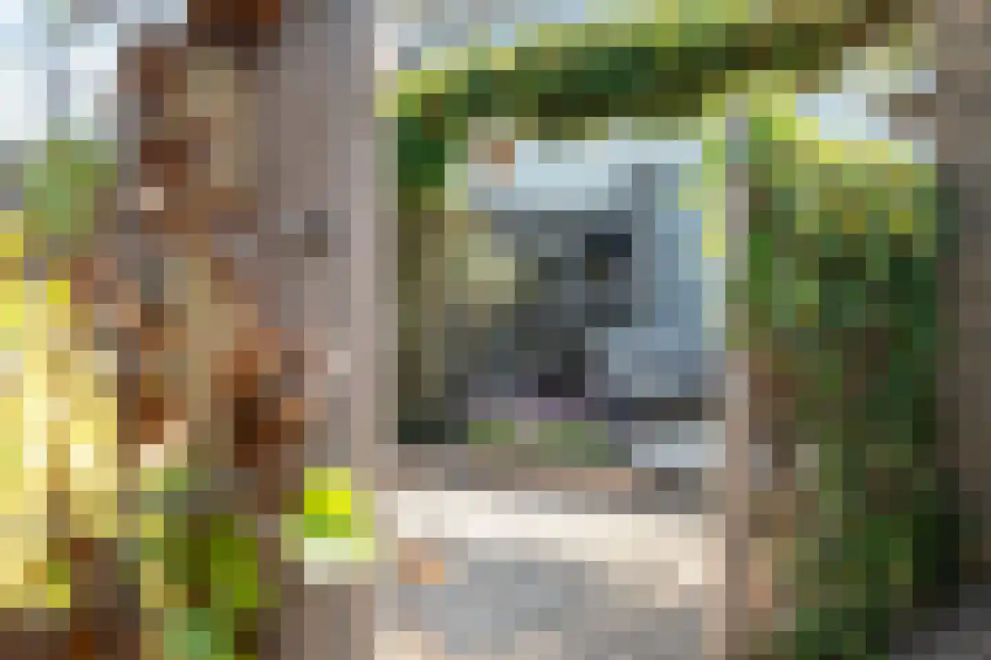 Allingawier 6 Grou thumbnail 43