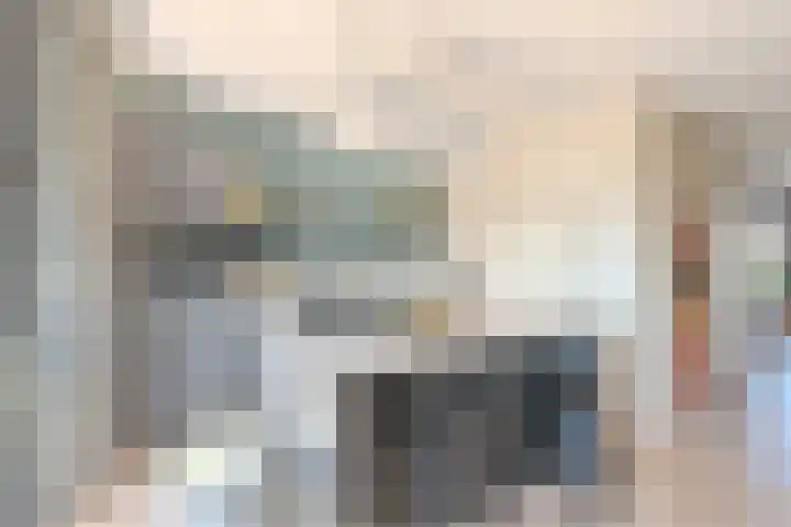 Allium 5 Voorhout thumbnail 14