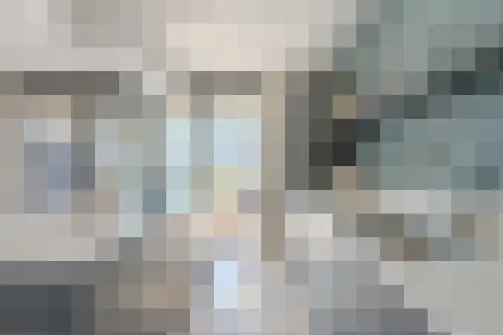 Allium 5 Voorhout thumbnail 16