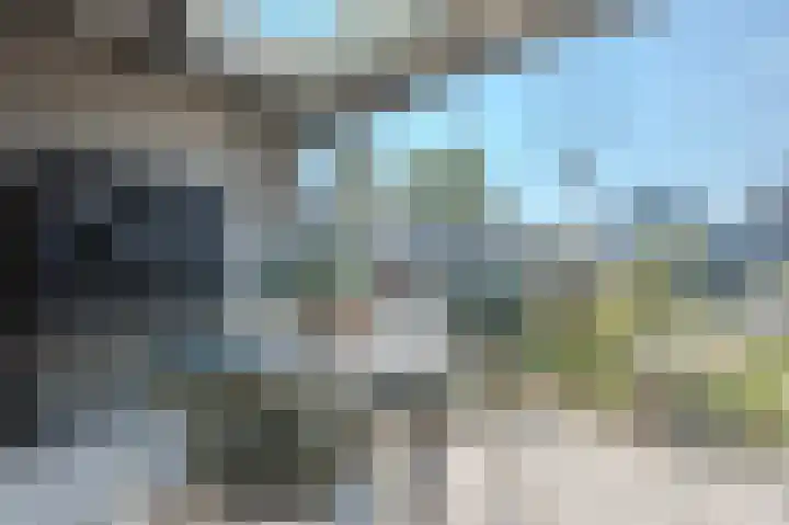 Allium 5 Voorhout thumbnail 17