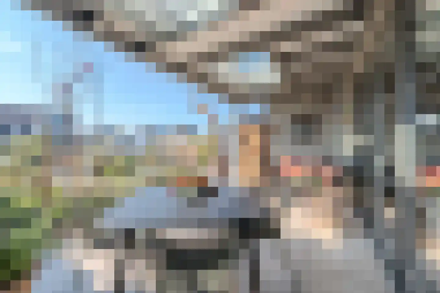 Allium 5 Voorhout thumbnail 18