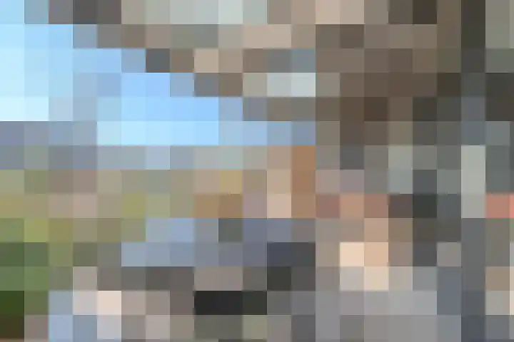 Allium 5 Voorhout thumbnail 18