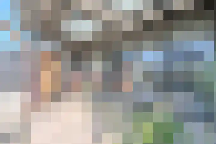 Allium 5 Voorhout thumbnail 19