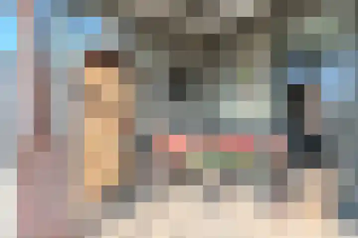 Allium 5 Voorhout thumbnail 20