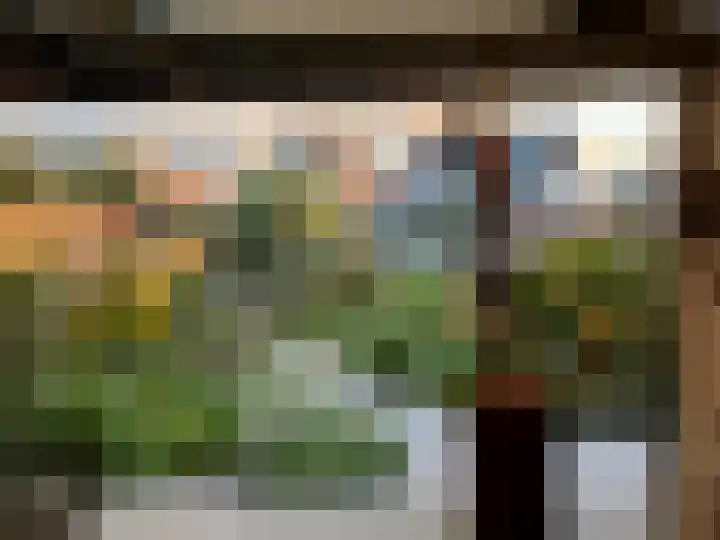 Allium 5 Voorhout thumbnail 21