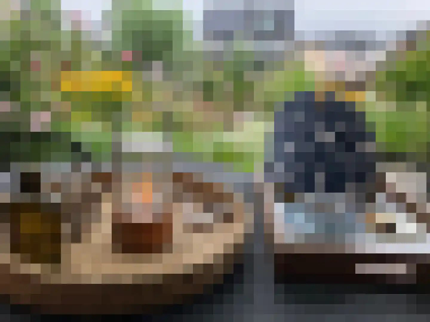 Allium 5 Voorhout thumbnail 22
