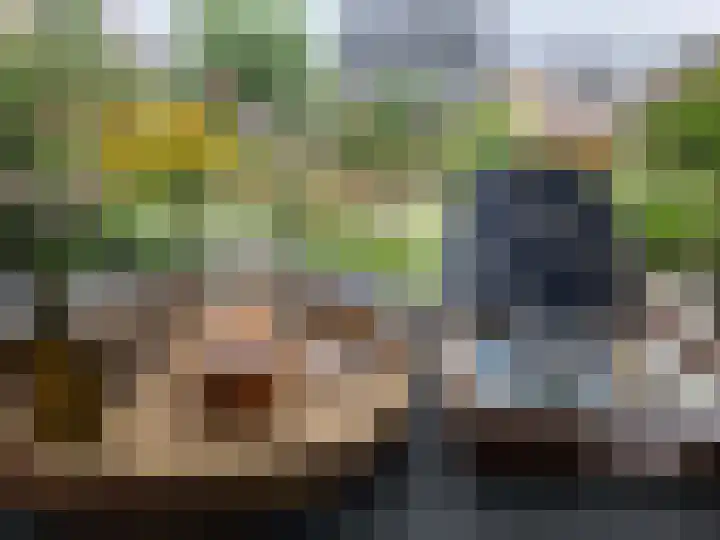 Allium 5 Voorhout thumbnail 22