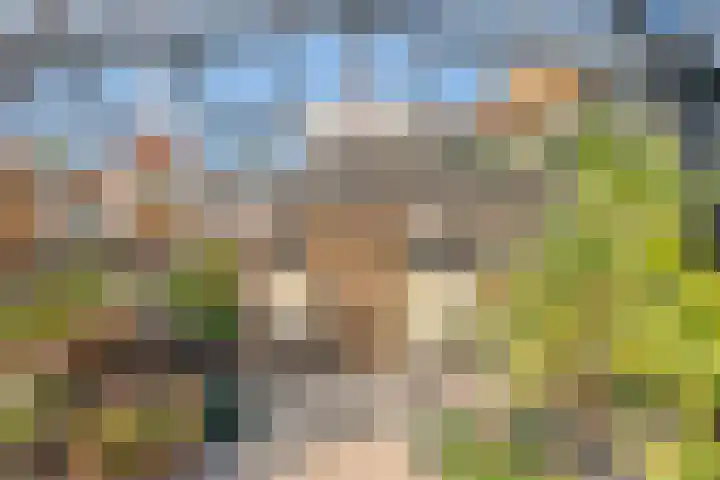 Allium 5 Voorhout thumbnail 23