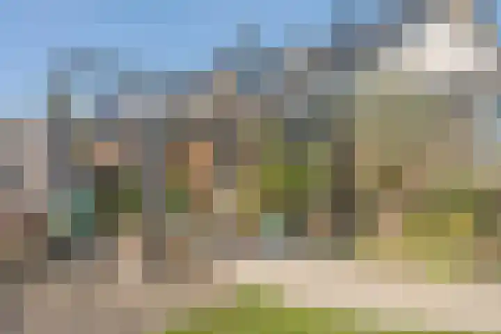 Allium 5 Voorhout thumbnail 24