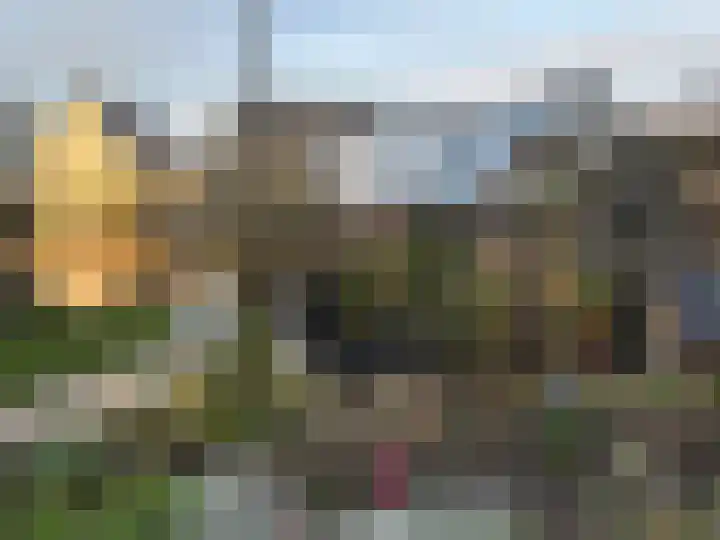 Allium 5 Voorhout thumbnail 26