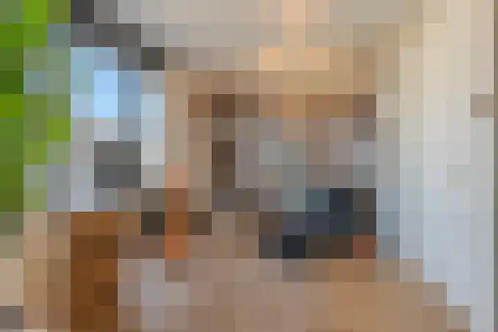 Allium 5 Voorhout thumbnail 32