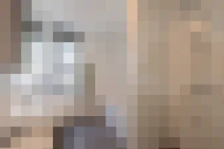 Allium 5 Voorhout thumbnail 33