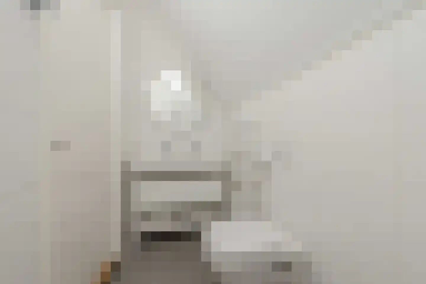 Allium 5 Voorhout thumbnail 47